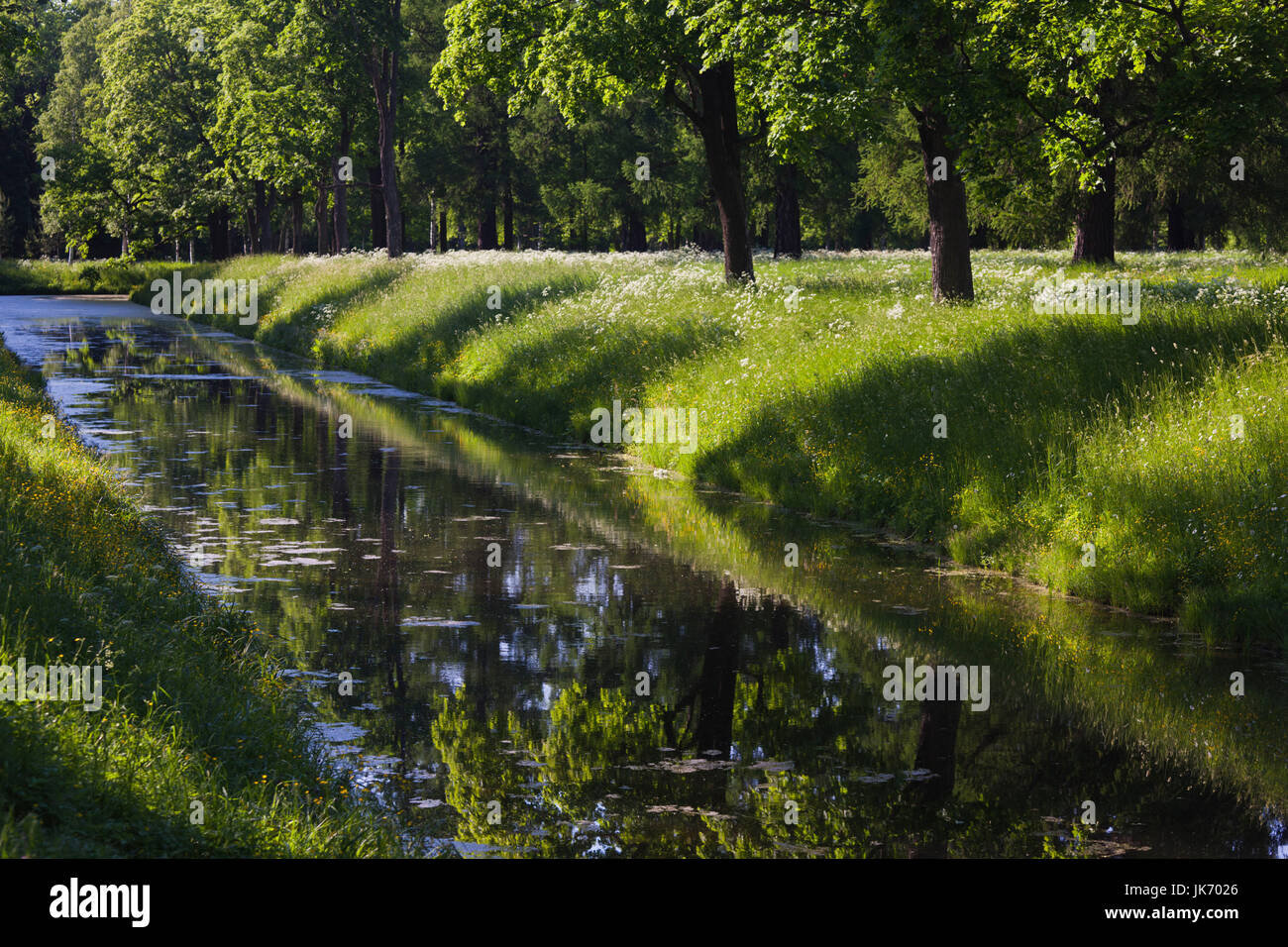 La Russia, San Pietroburgo, Pushkin-Tsarskoye Selo, palazzo motivi Foto Stock