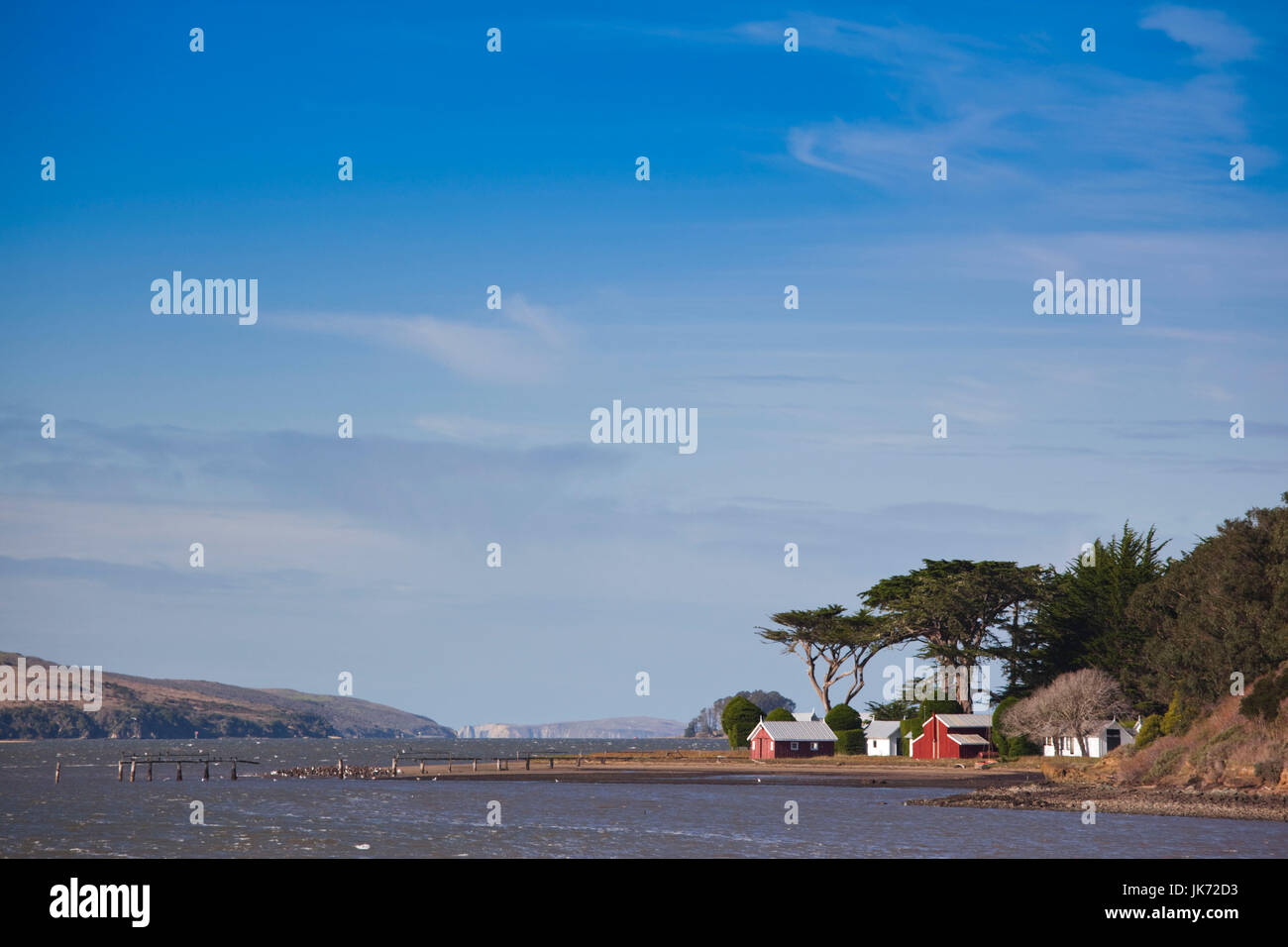 Stati Uniti d'America, la California, la California del Nord, costa Nord, Tomales Bay, Marshall, waterfront Foto Stock