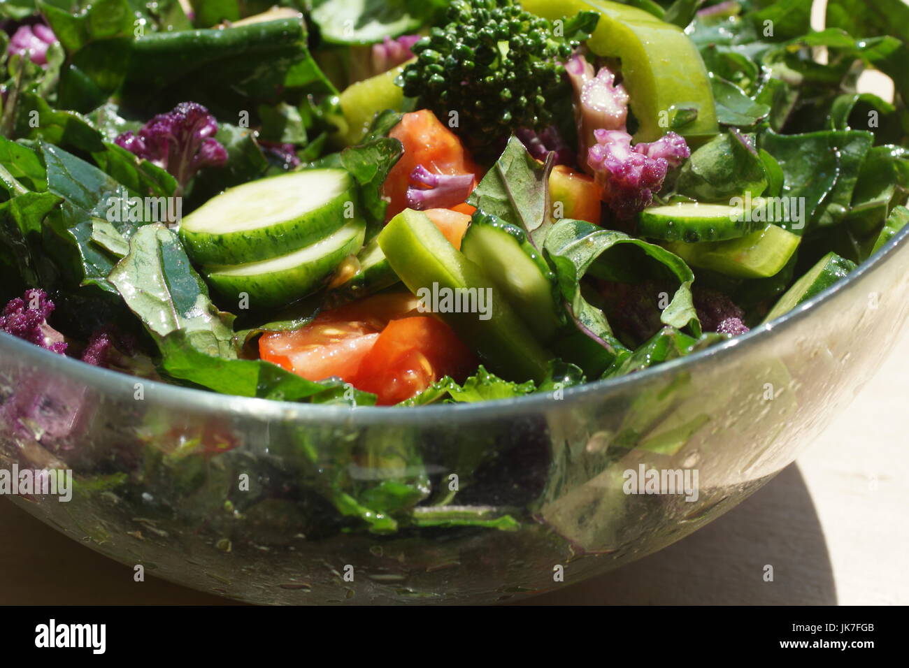 Insalata di verdure di stagione e le erbe aromatiche: cetrioli e pomodori, russo rosso kale, broccoli, cavolfiori di colore viola, peperone, condito con olio Foto Stock