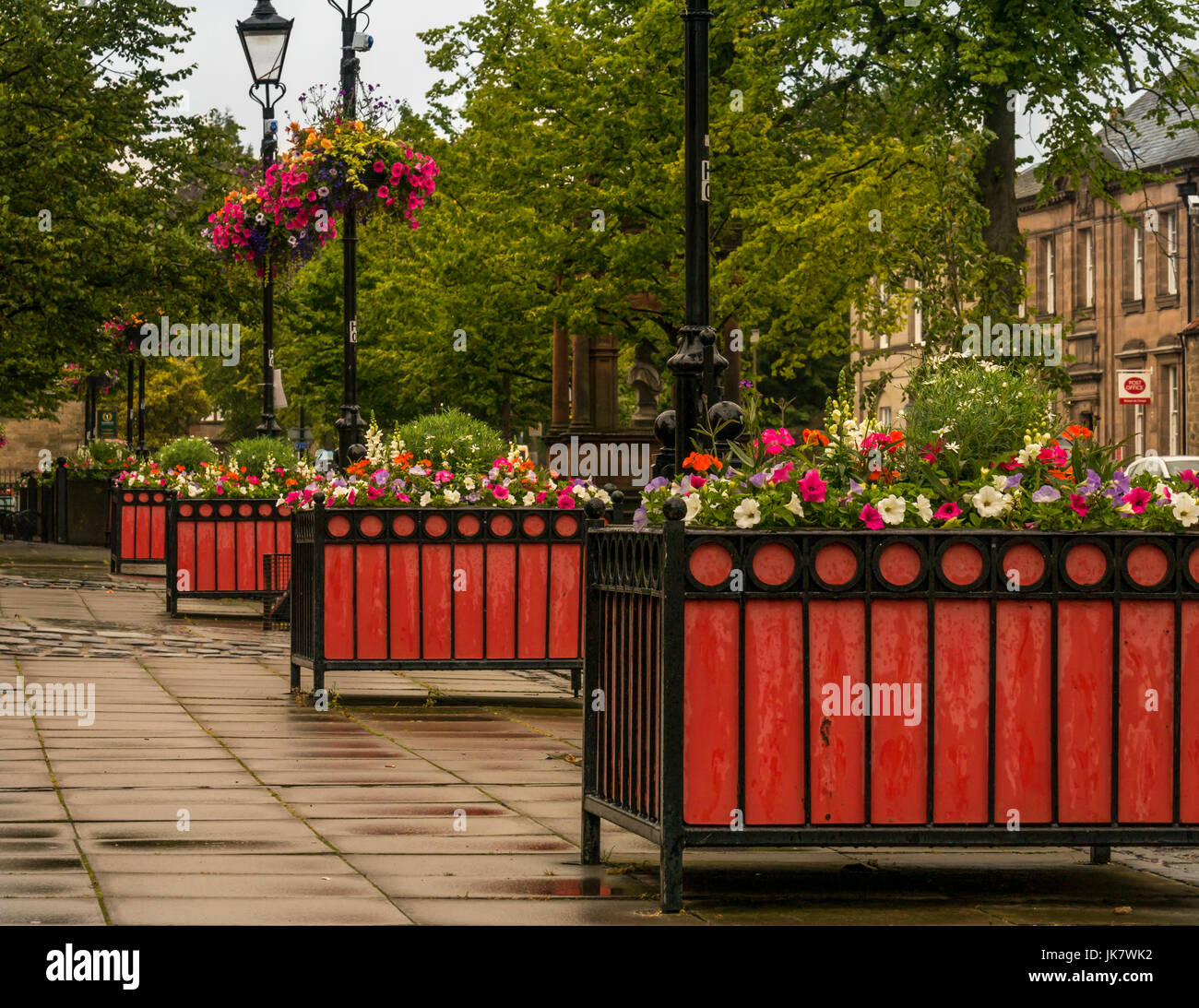 Colorato di rosso estate fioriere e cestini, luogo d'Aubigny, Court Street, Haddington, East Lothian, Scozia, Regno Unito, per Haddington in fiore Foto Stock