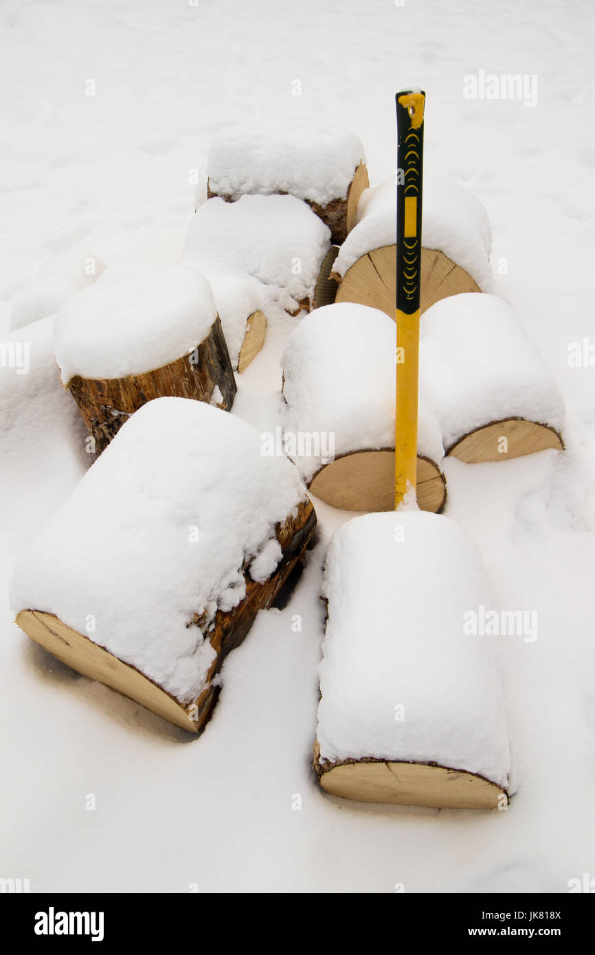 Pila di registri di pino pronto per essere diviso con un'ascia per l'inverno di legna da ardere Foto Stock