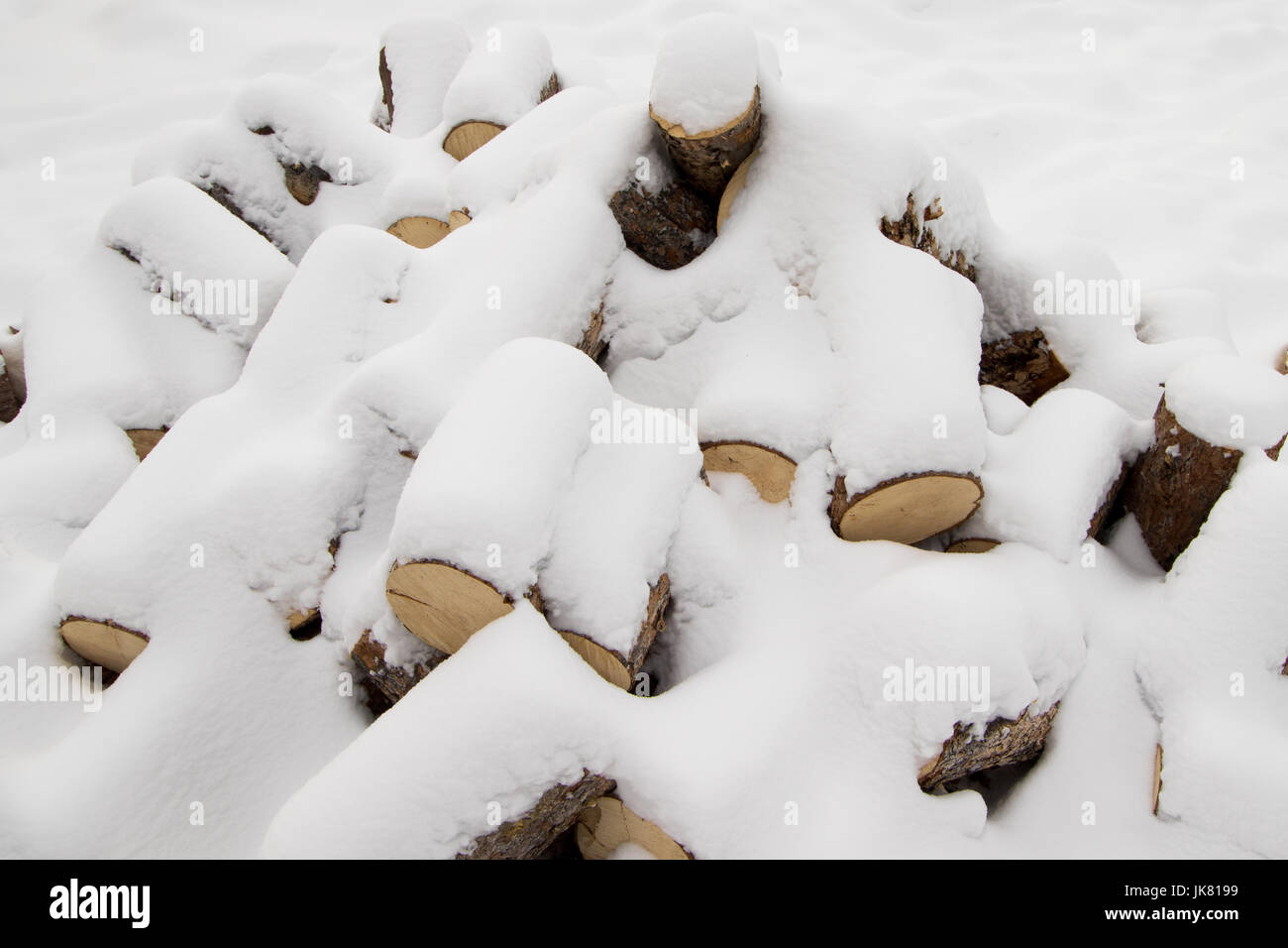 Pila di pino tronchi per legna da ardere di inverno Foto Stock