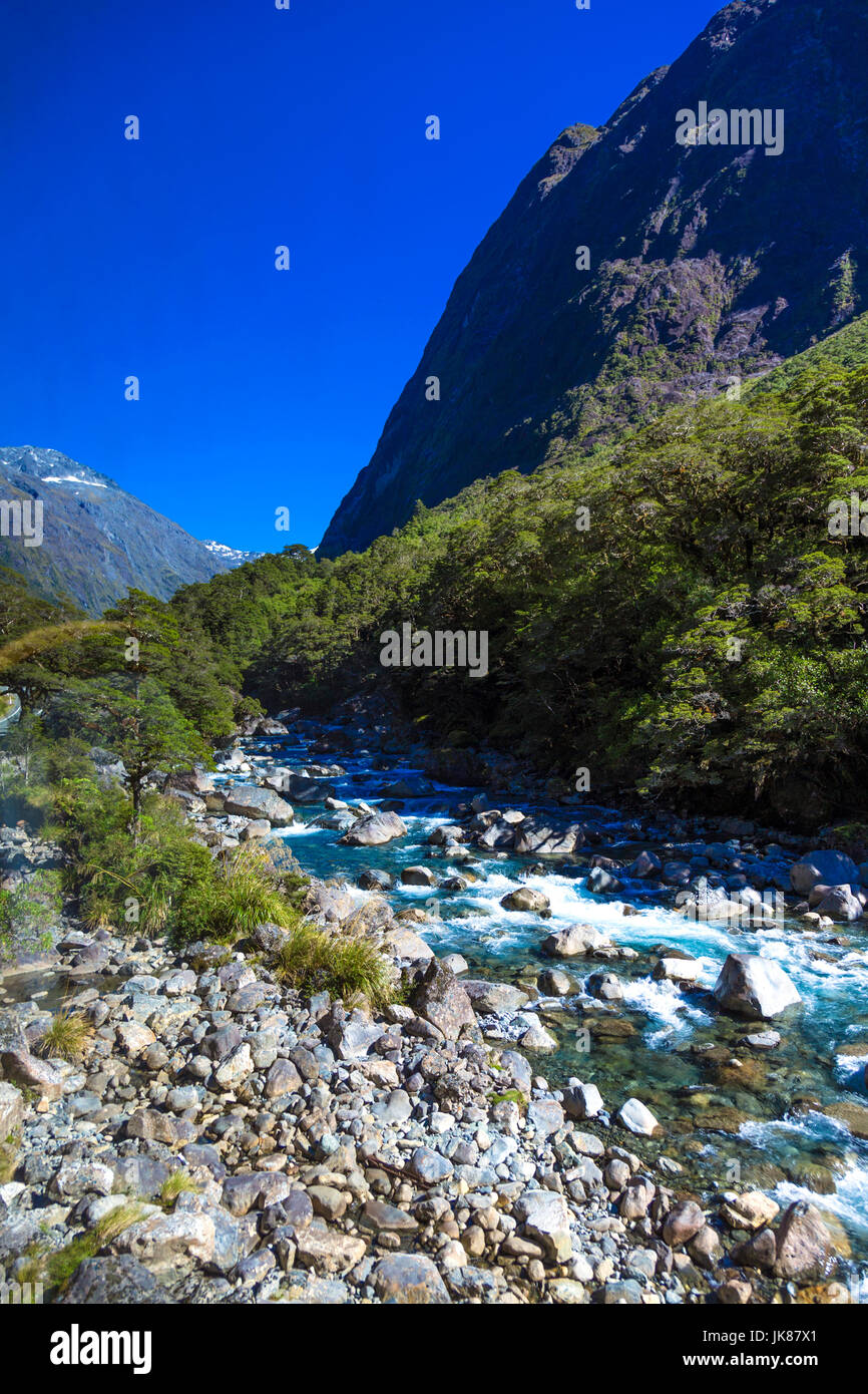 Fiume glaciale che scorre sulle rocce in una valle, Hollyford River, Isola del Sud, Nuova Zelanda Foto Stock