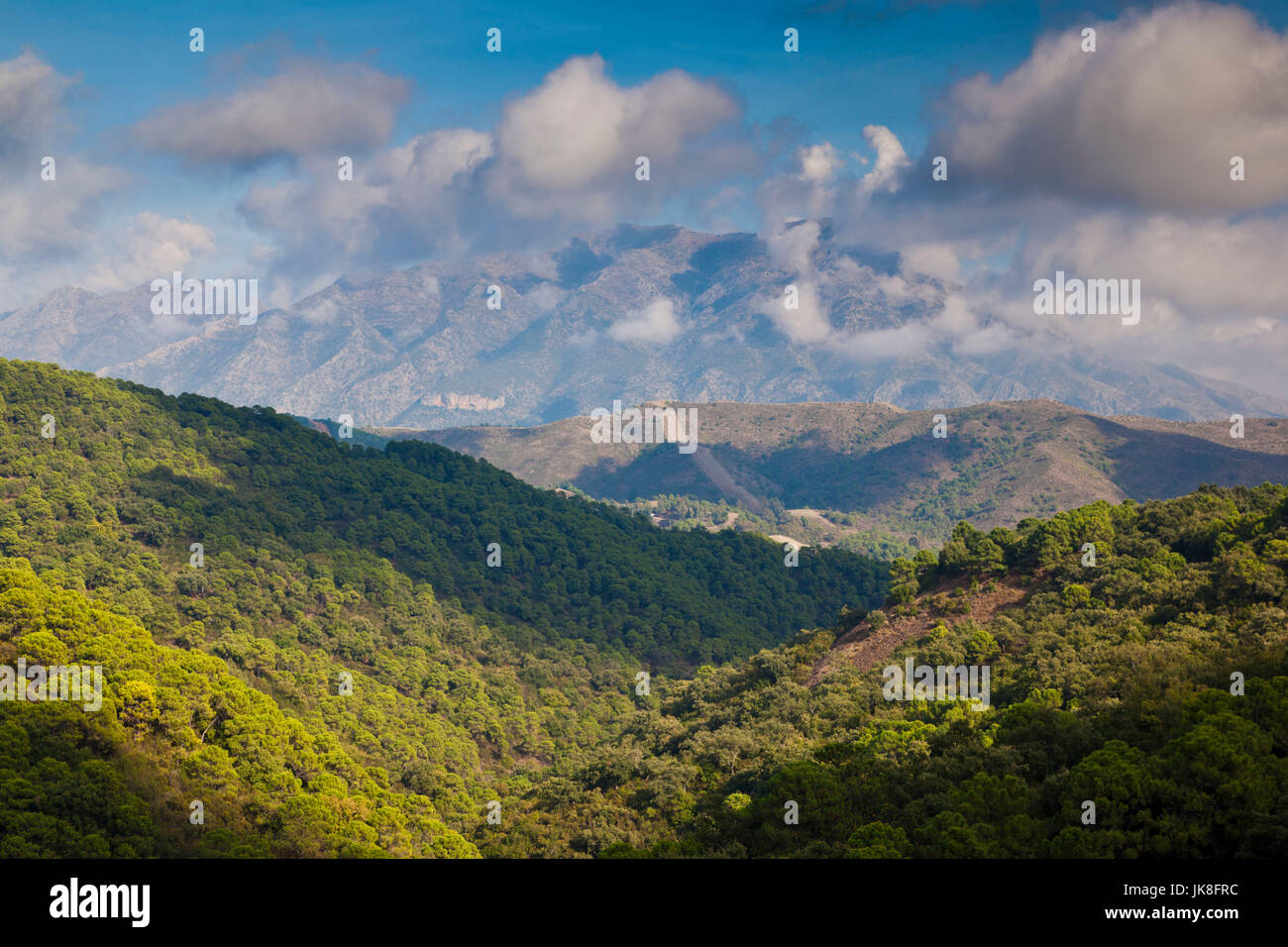 Spagna, Andalusia Regione, Provincia di Malaga e Marbella-area, vista la montagna Torresilla, quota 1919 metri Foto Stock