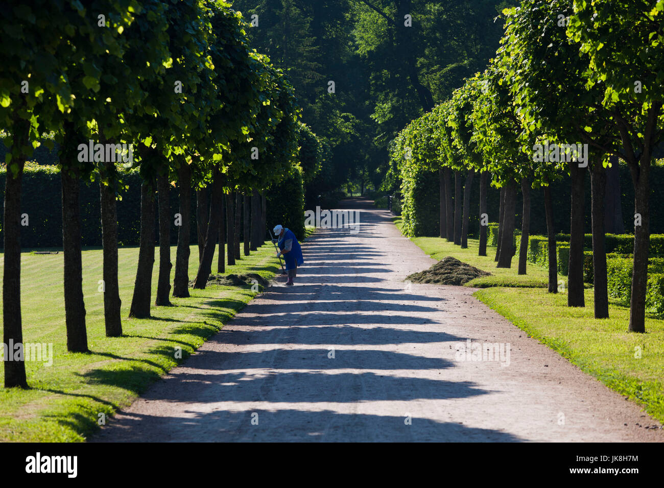 La Russia, San Pietroburgo, Pushkin-Tsarskoye Selo, palazzo motivi Foto Stock