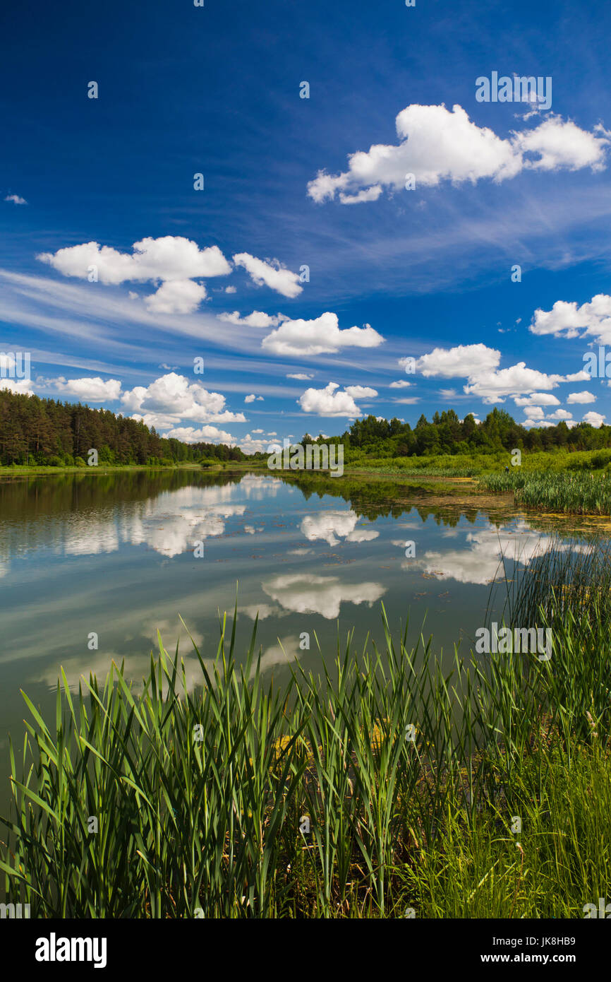 Russia, Pskovskaya Oblast, Pushkinskie Gory, lago a Mikhailovskoye, la Alexander Pushkin preservare, estate del famoso poeta russo Foto Stock