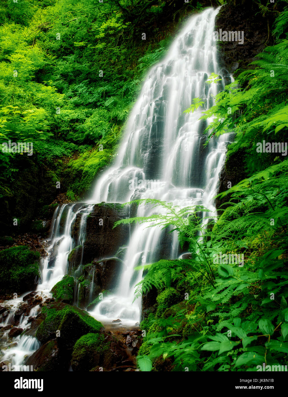 M00207M.tiff Fairy Falls. Columbia River Gorge National Scenic Area. Oregon Foto Stock