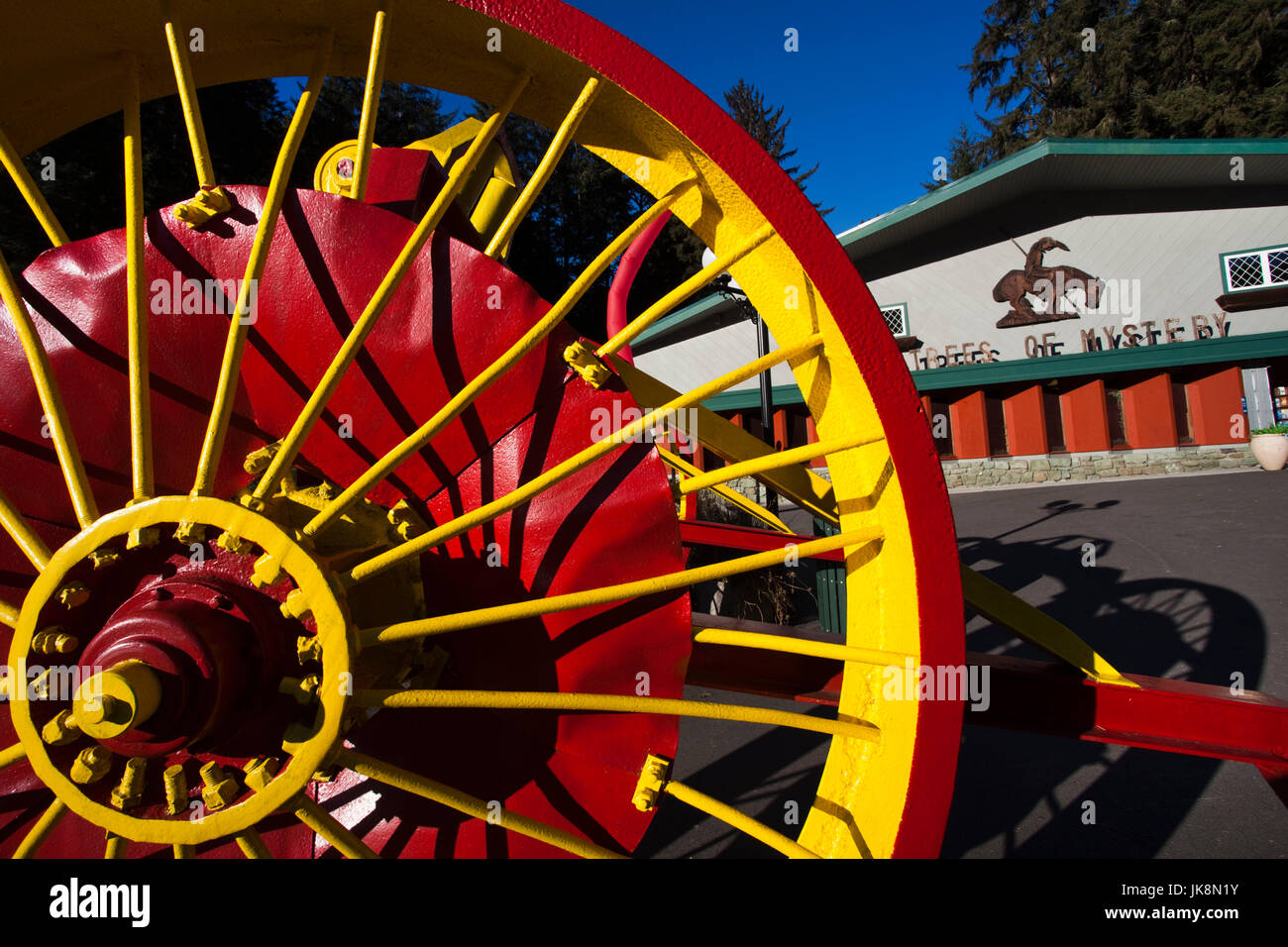 Stati Uniti d'America, la California, la California del Nord, costa Nord, Klamath, alberi di Mystery Park Foto Stock