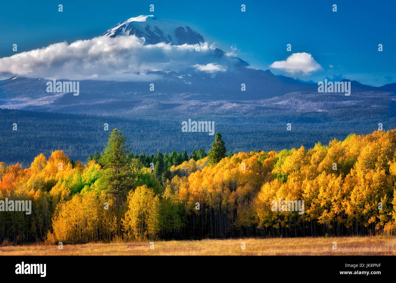 Mt. Adams con fall aspens colorati come visto dal lago Conboy National Wildlife Refuge, Washington Foto Stock