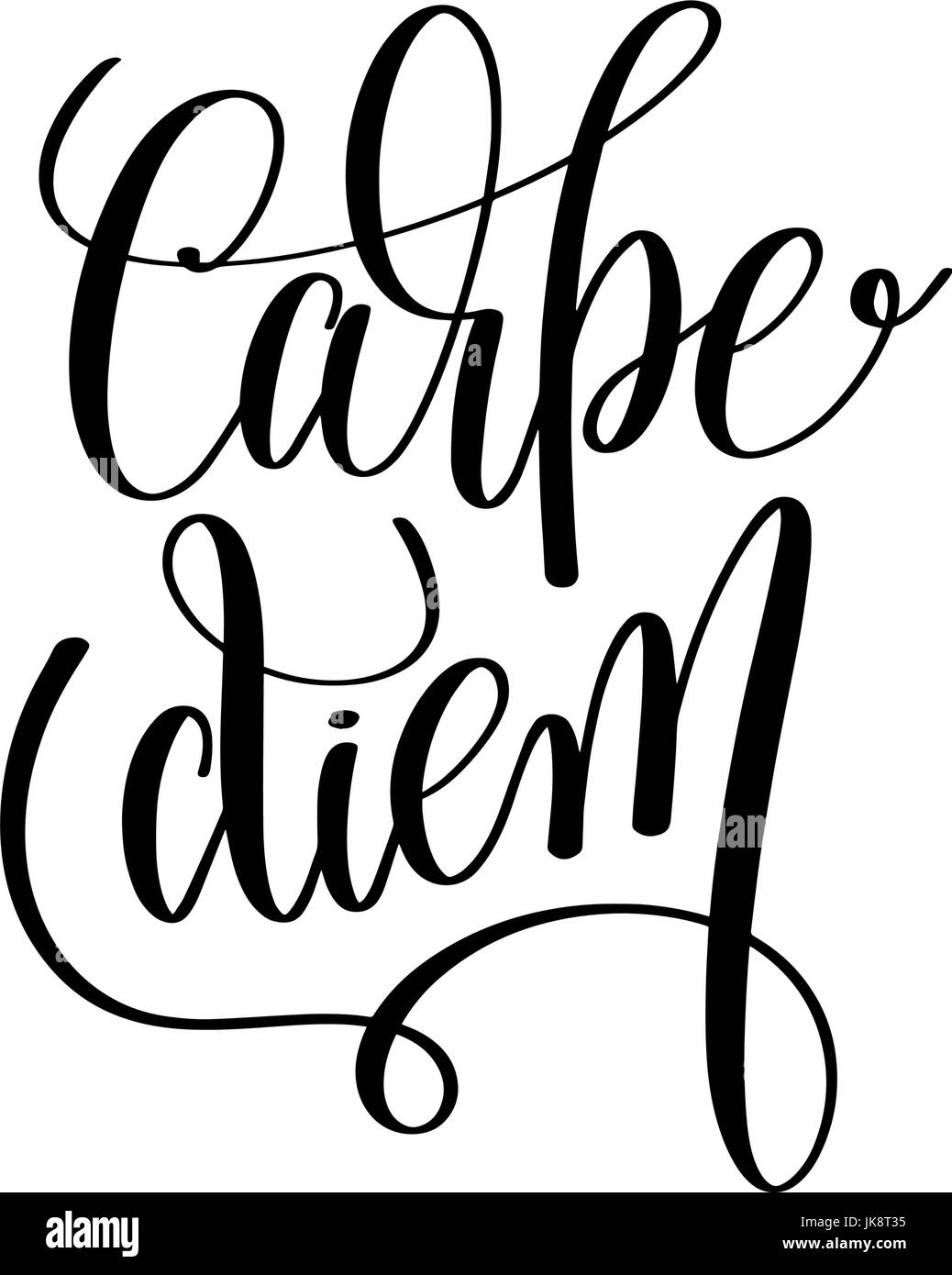 Carpe diem in bianco e nero scritto a mano scritte preventivo positivo Illustrazione Vettoriale