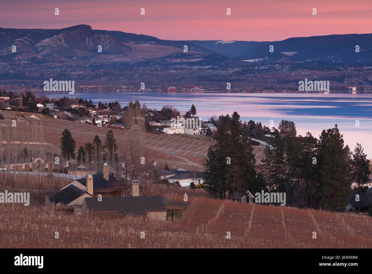 Canada, British Columbia, Okanagan Valley, West Kelowna, vigneti e del lago, inverno, crepuscolo Foto Stock