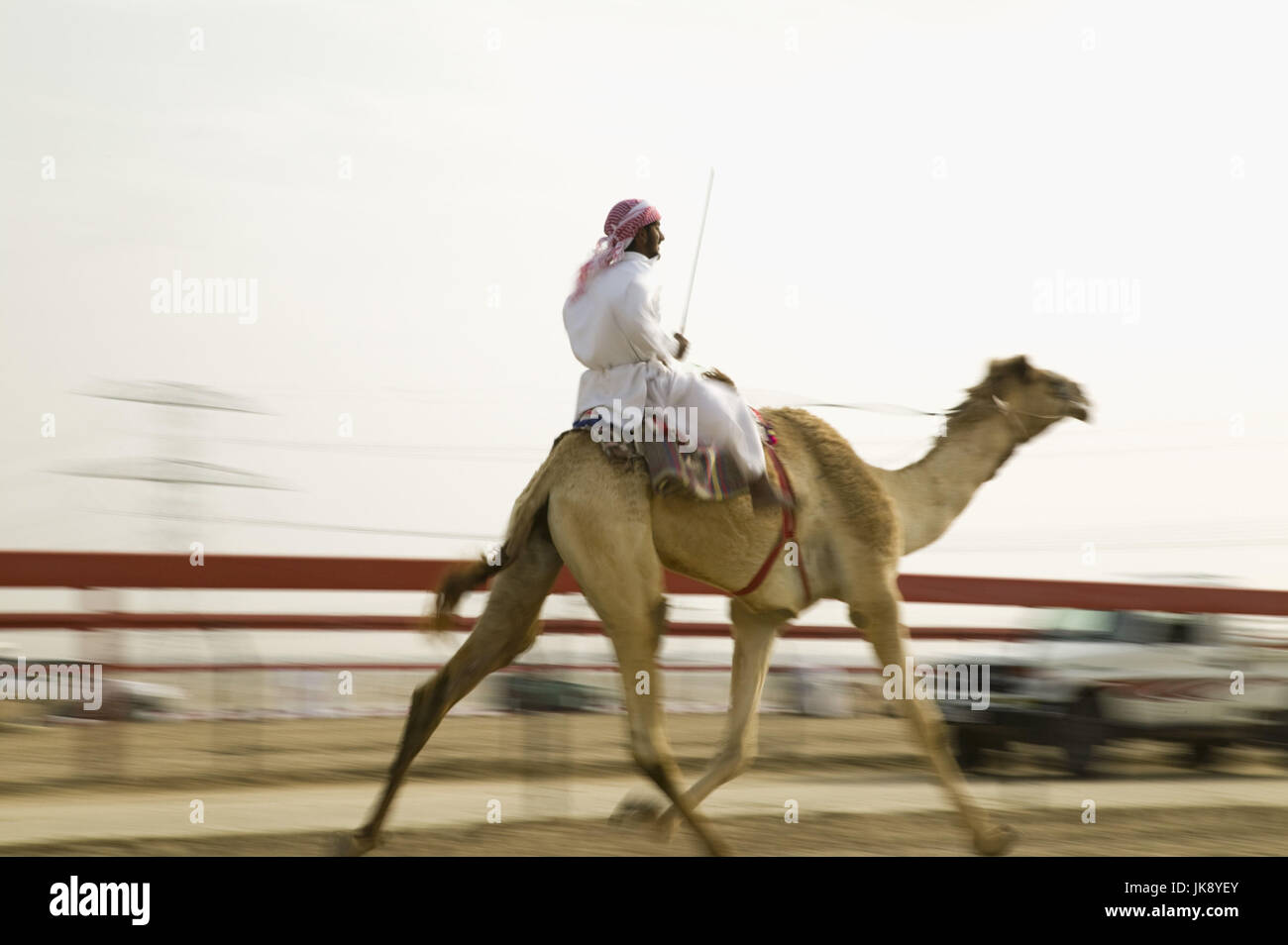 Vereinigte Arabische Emirate, Dubai, Al-Marqadh, Kamelrennbahn, Rennen, Kamele, Jockey, Unschärfe, nessun modello di rilascio, Foto Stock
