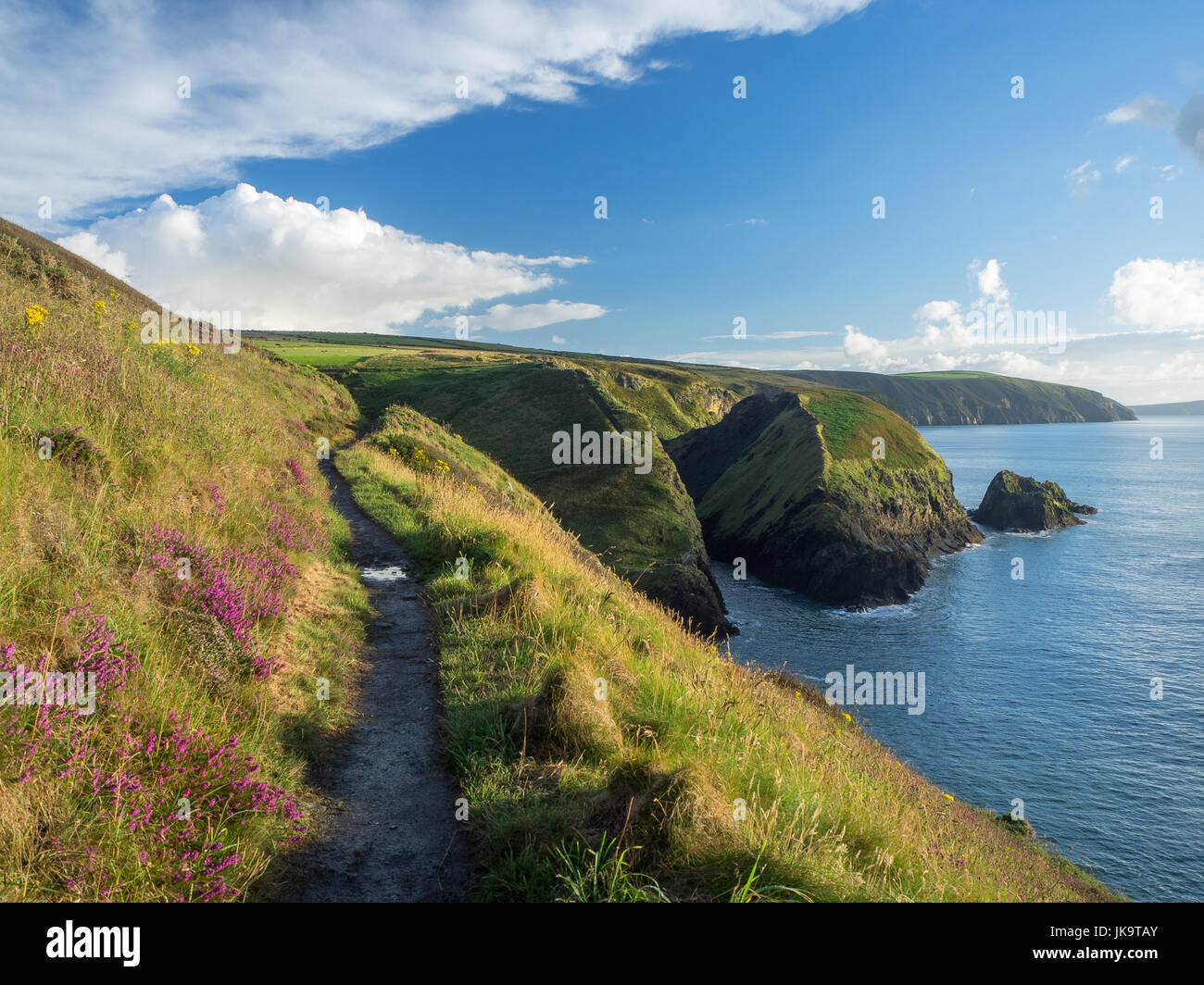 Pembrokeshire sentiero costiero, Galles Foto Stock