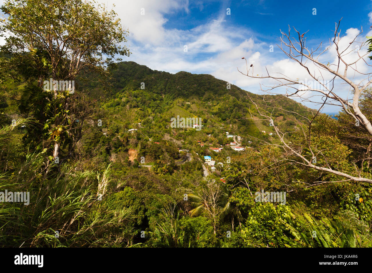 Dominica, Roseau, Grand Bay Area, Petite Savanne vista città Foto Stock