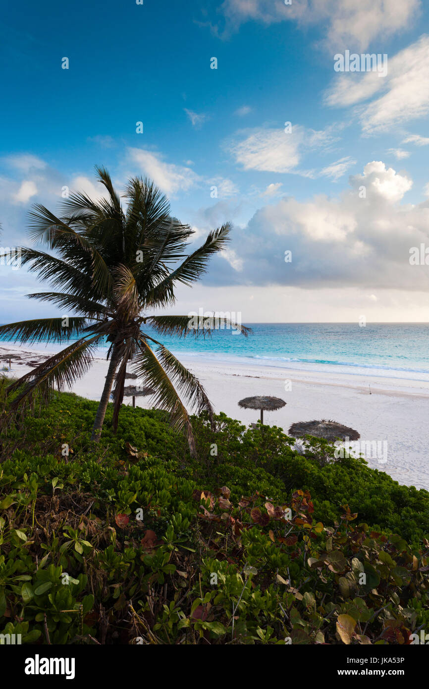Bahamas, Eleuthera Island Harbour Island, sabbie rosa Beach, mattina Foto Stock