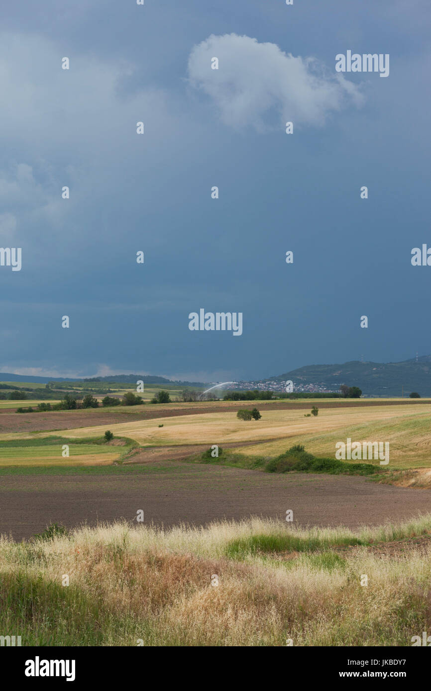 La Grecia e la Macedonia orientale e Tracia Regione, Dikea, campi sulla frontiera bulgara Foto Stock
