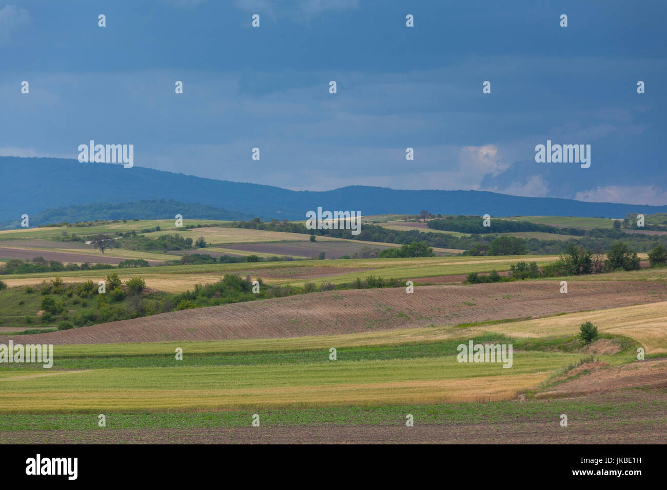 La Grecia e la Macedonia orientale e Tracia Regione, Dikea, campi sulla frontiera bulgara Foto Stock