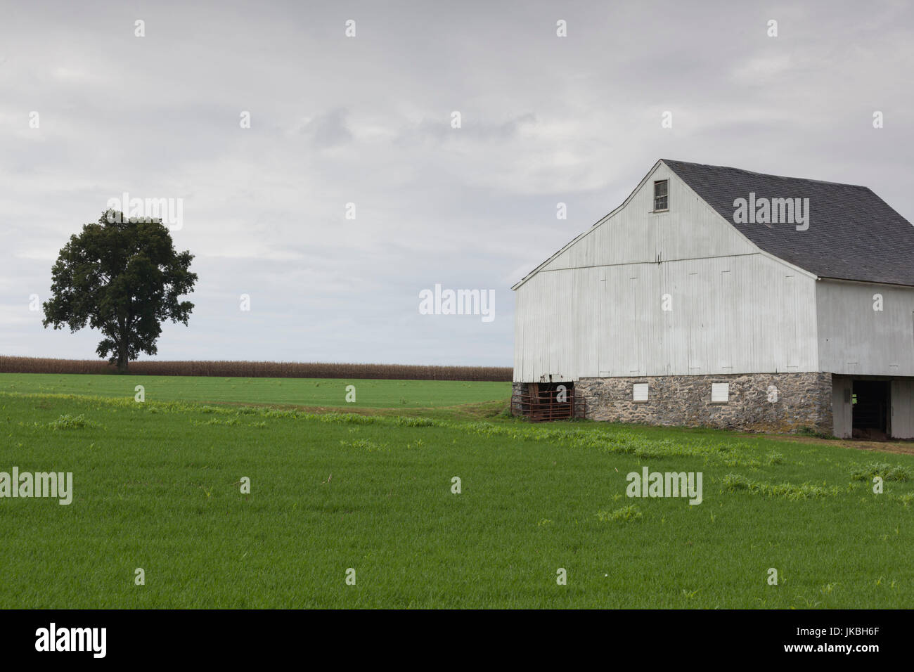 Stati Uniti d'America, Pennsylvania, Pennsylvania Dutch Country, Paradise, granaio Foto Stock