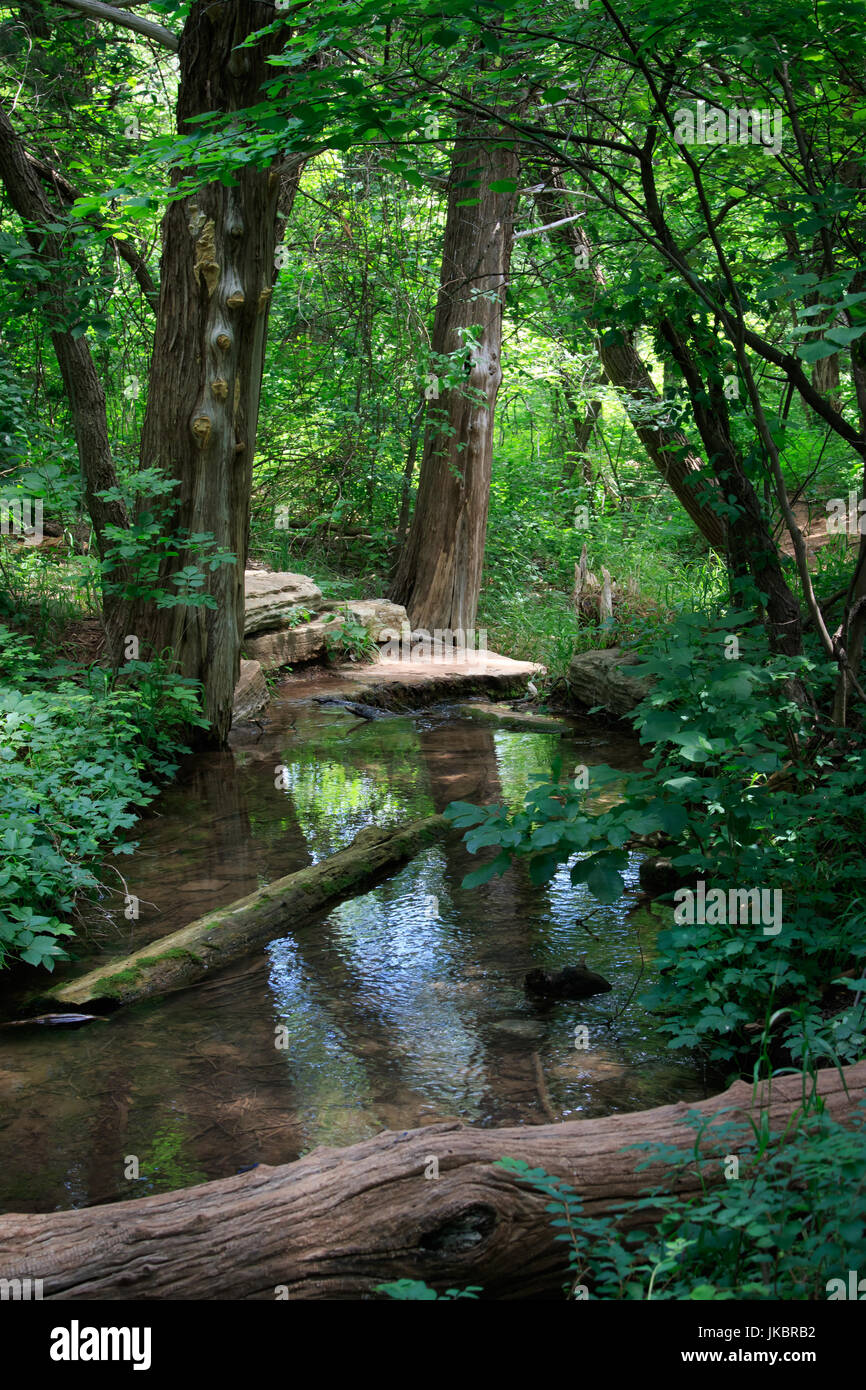 La molla alimentata creek e i sentieri della foresta al naso romano parco dello stato in NW Oklahoma vicino a Watonga Foto Stock