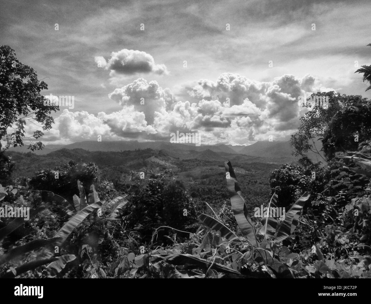 Vista del paesaggio della foresta pluviale esotiche attraverso gli alberi nel Borneo, Malaysia Foto Stock