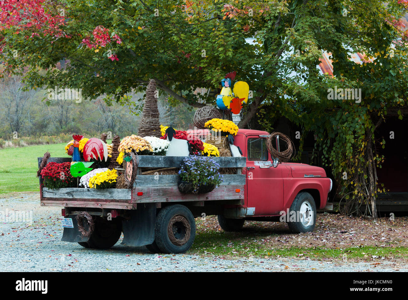 Stati Uniti d'America, North Carolina,Valle Crucis, vecchio carrello con fiori di caduta Foto Stock