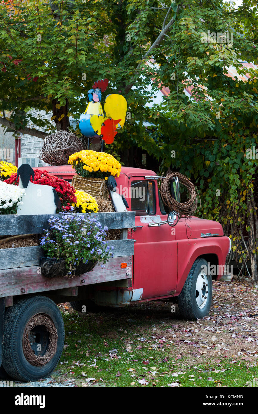 Stati Uniti d'America, North Carolina,Valle Crucis, vecchio carrello con fiori di caduta Foto Stock