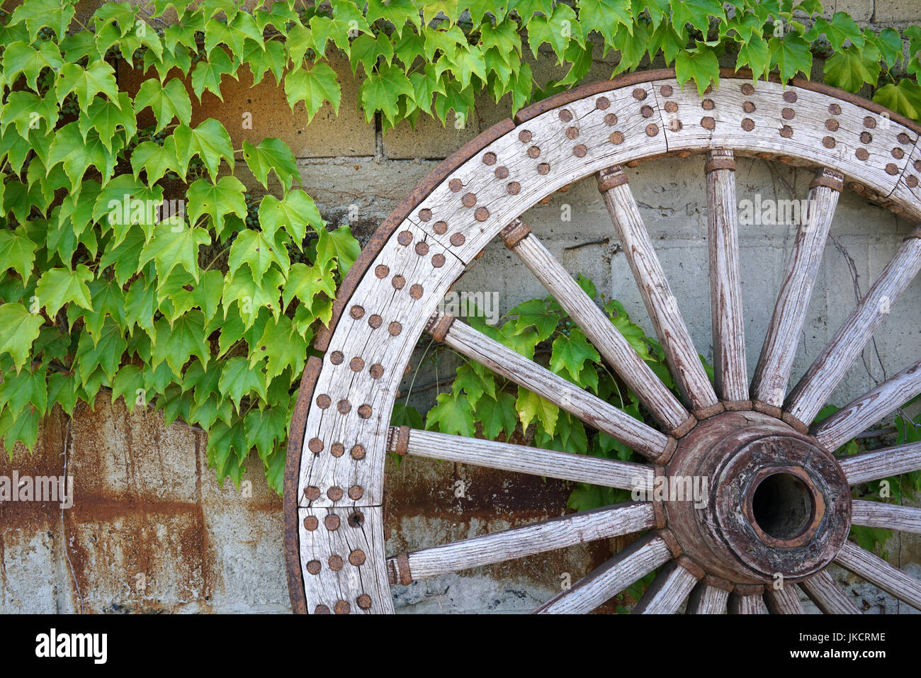 Antico e legno stagionato carrello ruota di vite con foglie di colore verde Foto Stock