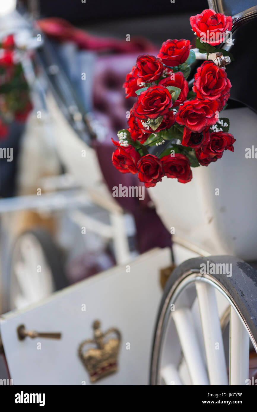 Australia, Victoria, VIC, Melbourne, Swanston Street, rose sul carrello del cavallo Foto Stock