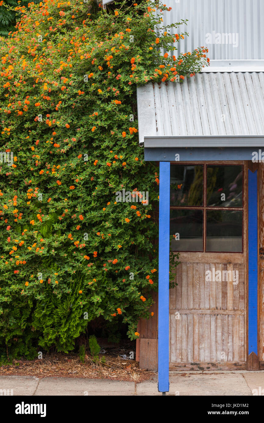 Australia, Western Australia, Sud-ovest, Nannup, paese la costruzione di dettaglio Foto Stock