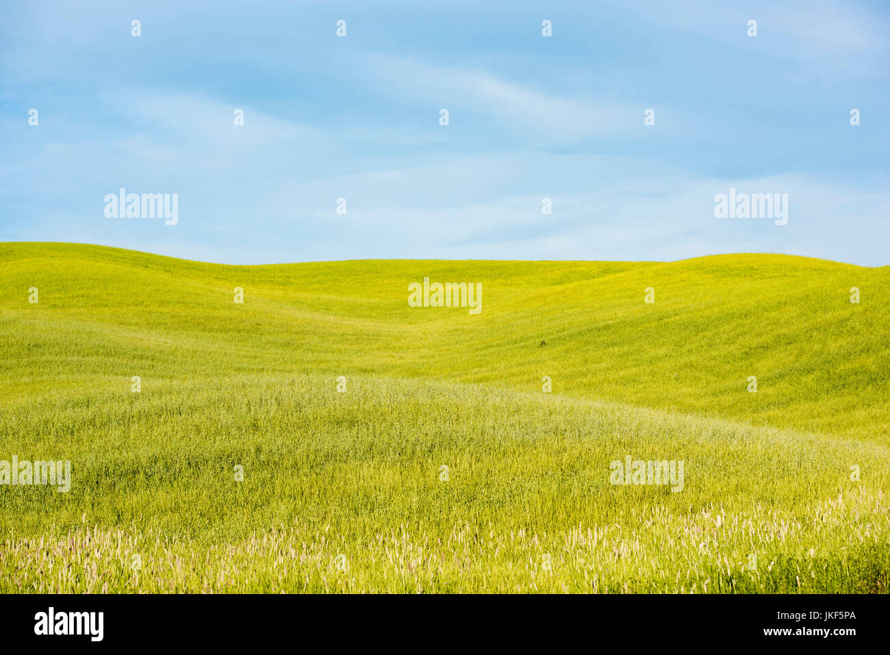 L'Italia, Toscana, Val d'Orcia, prati Foto Stock