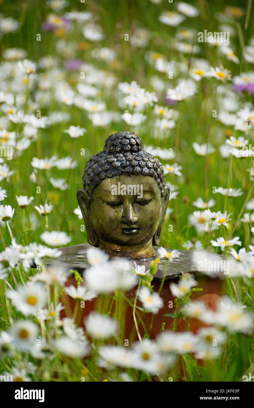 Testa di Buddha sull altare informale nel prato con occhio di bue margherite. Giardino santuario, Giugno, estate Foto Stock