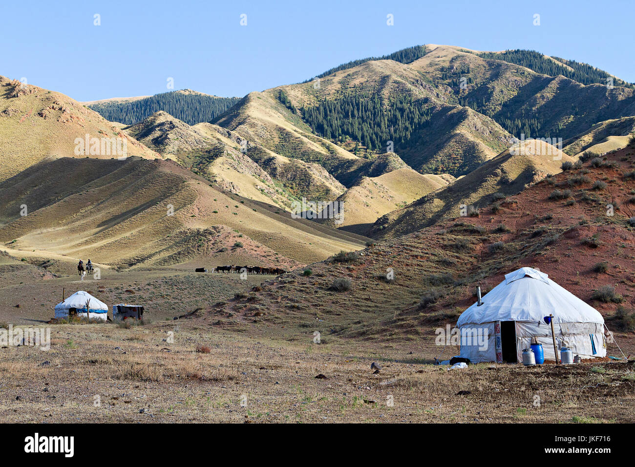 Tende di nomadi conosciuti come yurt, nell'Altopiano Assy, Kazakistan. Foto Stock