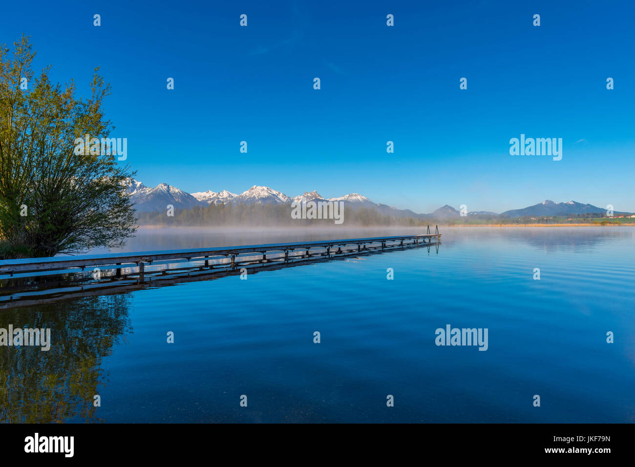 Morgenstimmung am Hopfensee, bei Füssen, Ostallgaeu, Allgaeu, dahinter die Allgaeuer Alpen, Bayern, Deutschland, Europa Foto Stock
