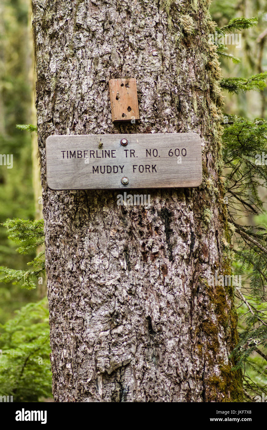 Segno posto per sentiero fangoso 600 Forcella in Mt Hood National Forest Foto Stock