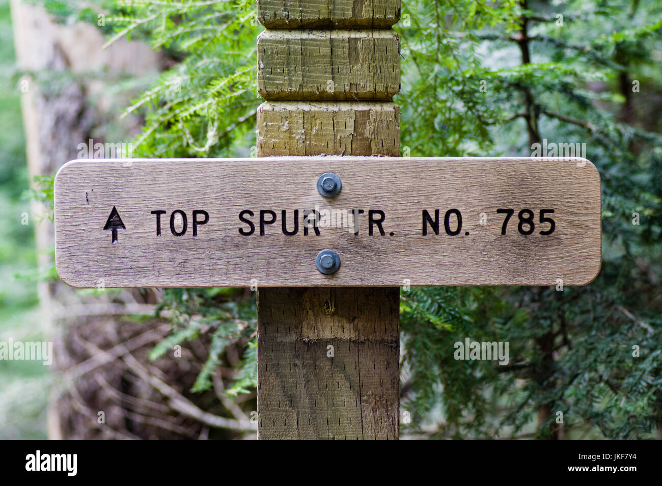 Segno posto per sentiero 785 alto sperone Trailin Mt Hood National Forest Foto Stock