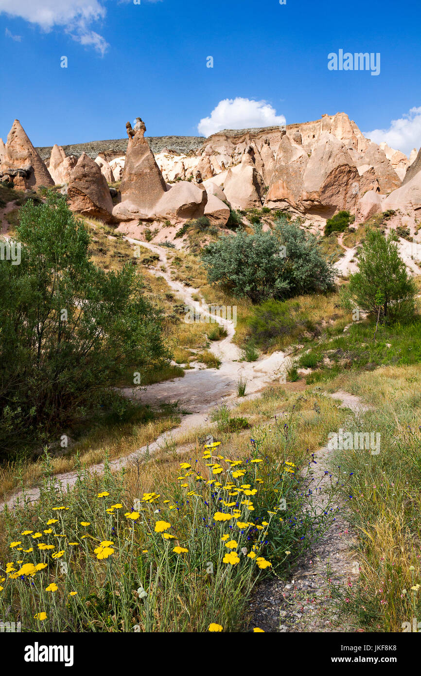 Formazioni di roccia vulcanica noto come Camini di Fata e terreni estremi della Cappadocia, Turchia. Foto Stock