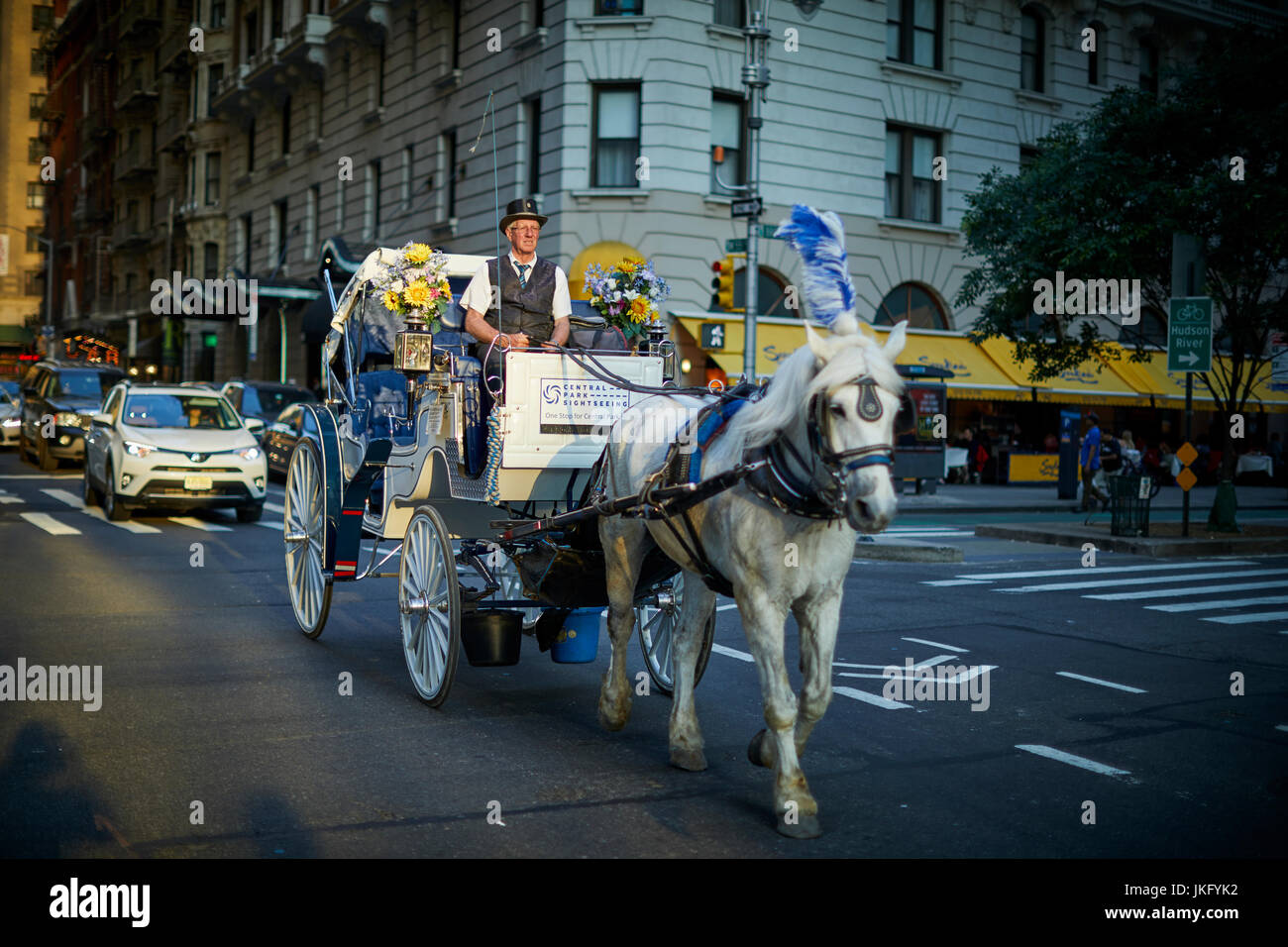 La città di New York, Manhattan Stati Uniti, attrazione turistica carrozze trainate da cavalli visto come crudele e inumano Foto Stock