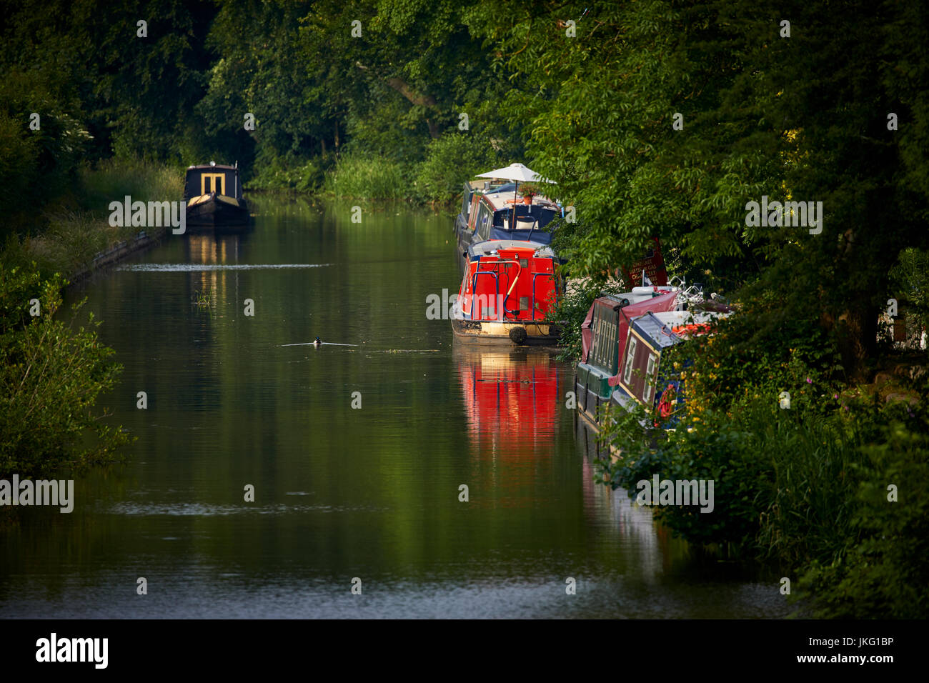 Macclesfield canal , Congleton Town Center, Cheshire Est, Inghilterra. Foto Stock