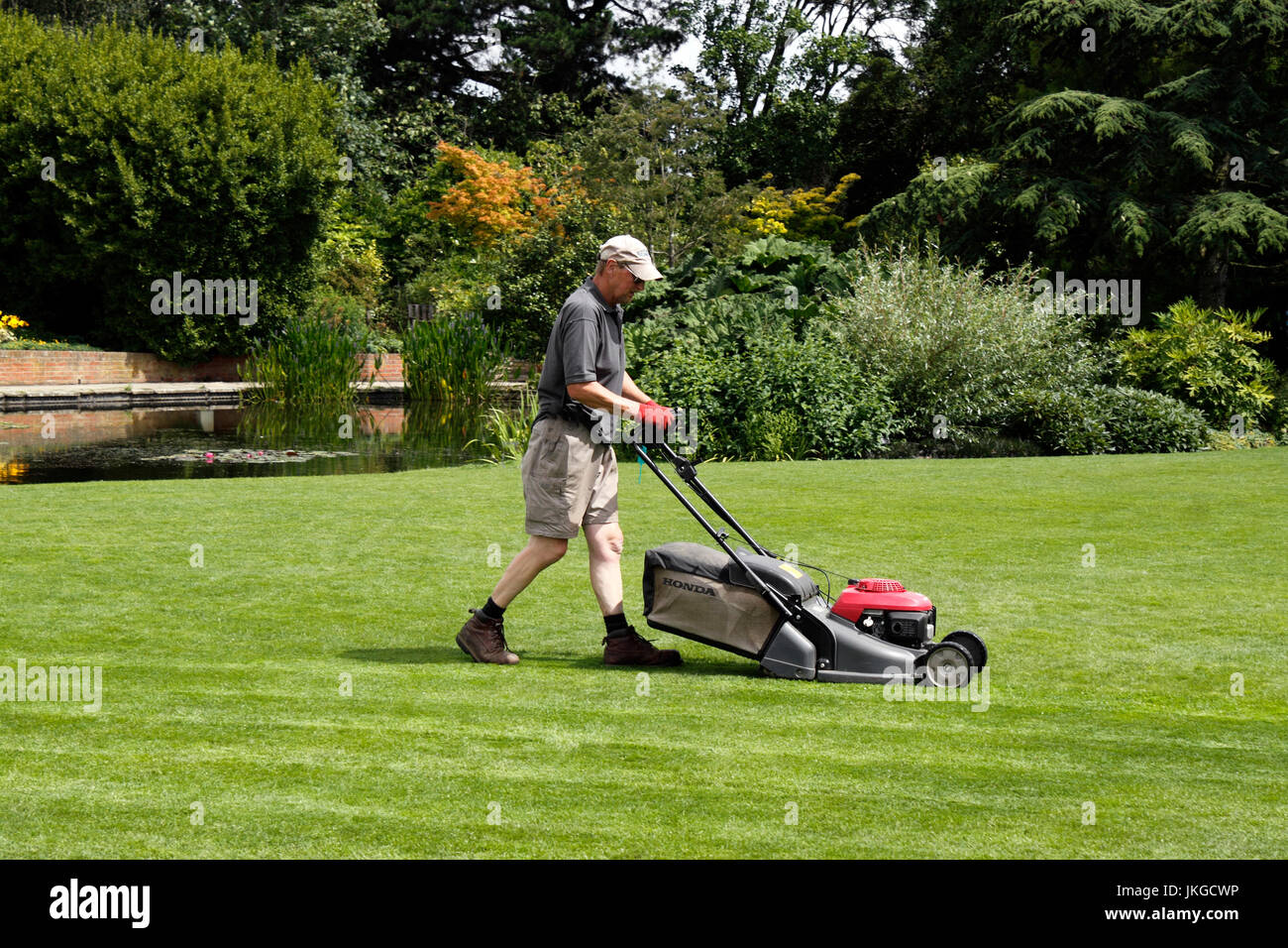 Un maschio di giardiniere taglio erba con un azionamento a benzina falciatrice Foto Stock