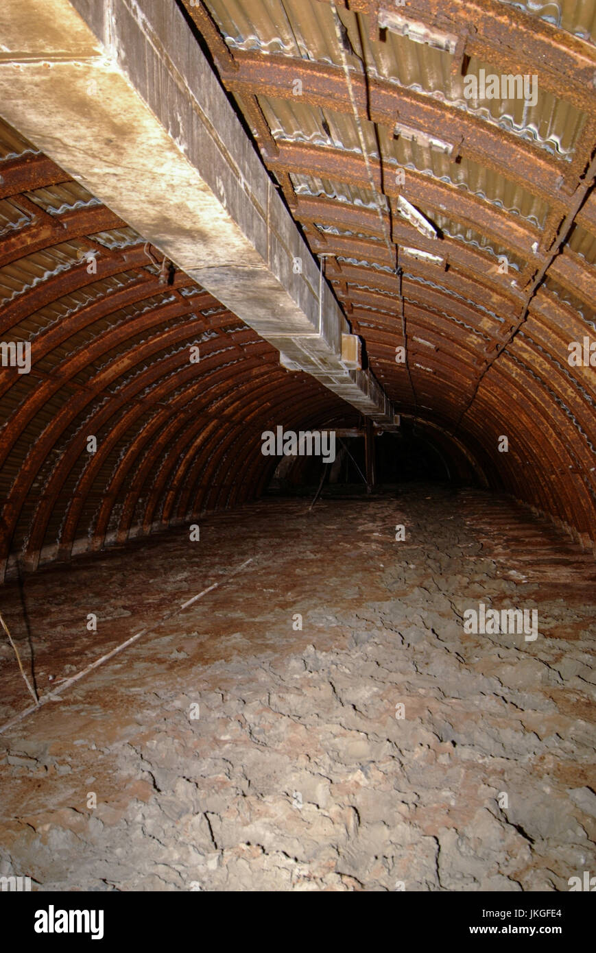 Il vecchio Trentham sistema di tunnel, fotografata nel 2007, che si estendeva sotto il principale " Austin Rover " fabbrica di automobili a Longbridge, Birmingham, Regno Unito. Si tratta di 386 metri di lunghezza e si estende da Lickey strada sopra alla stazione sul lato opposto della fabbrica. Nella seconda guerra mondiale è stato usato come un raid aereo riparo e realizzare localmente un obitorio. Dopo la guerra fu usato per spostare i prototipi senza essere visto e per memorizzare i veicoli prima di un grande incendio ha colpito è negli anni settanta. Da allora è stato chiuso a tenuta. È inondato in molte parti e utilizzata per contenere un mini 1275 GT con solo 11 miglia sull'orologio fino a quando non è stato rimosso nel 2012. Foto Stock