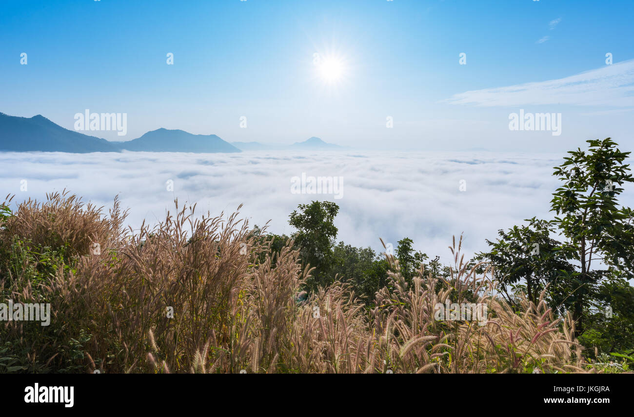 Mare di nebbia oltre il Phu Thok montagna a Chiang Khan ,Loei Provincia in Thailandia Foto Stock