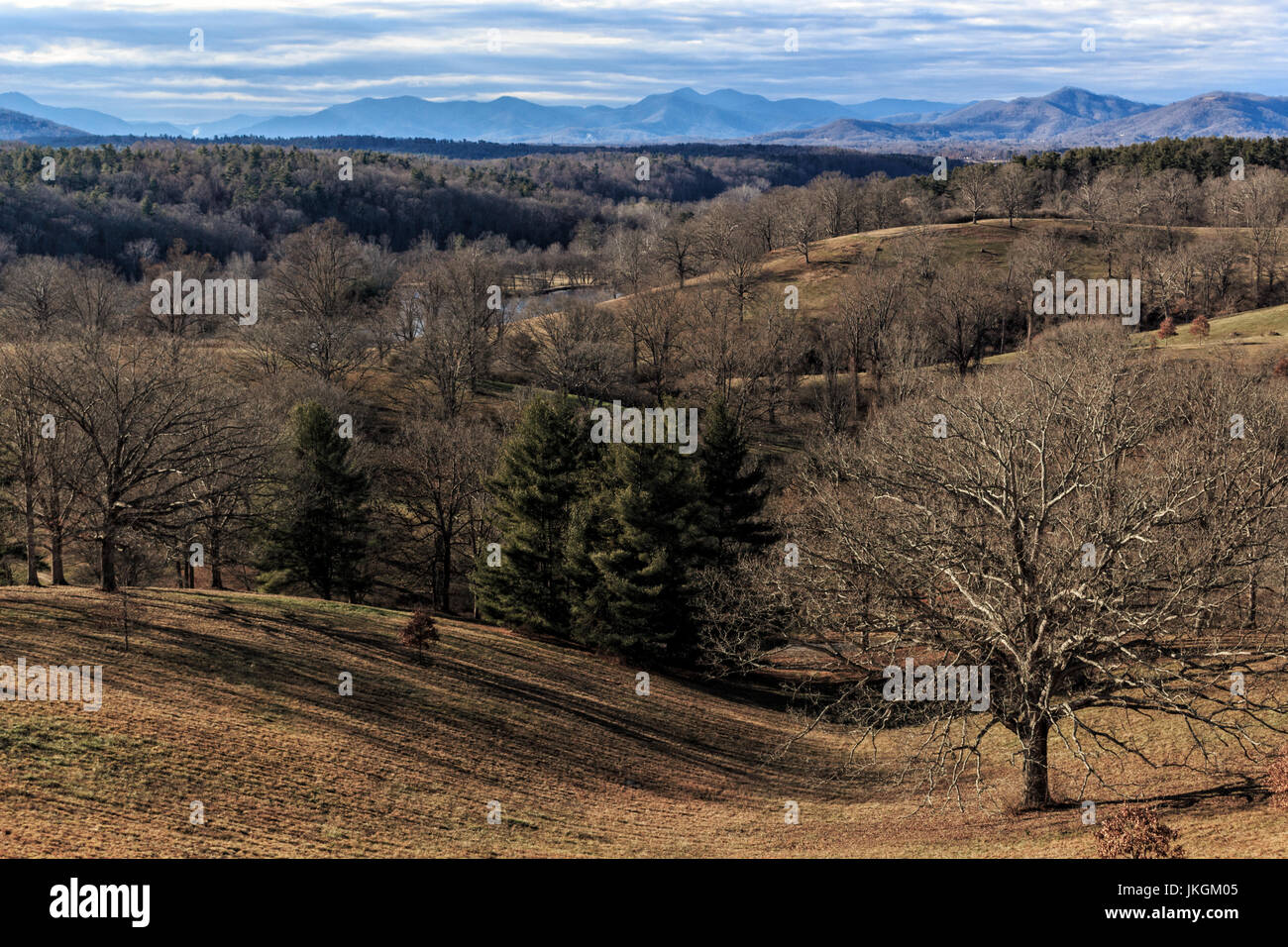Vista delle colline e montagne da il Biltmore House terrazza Foto Stock