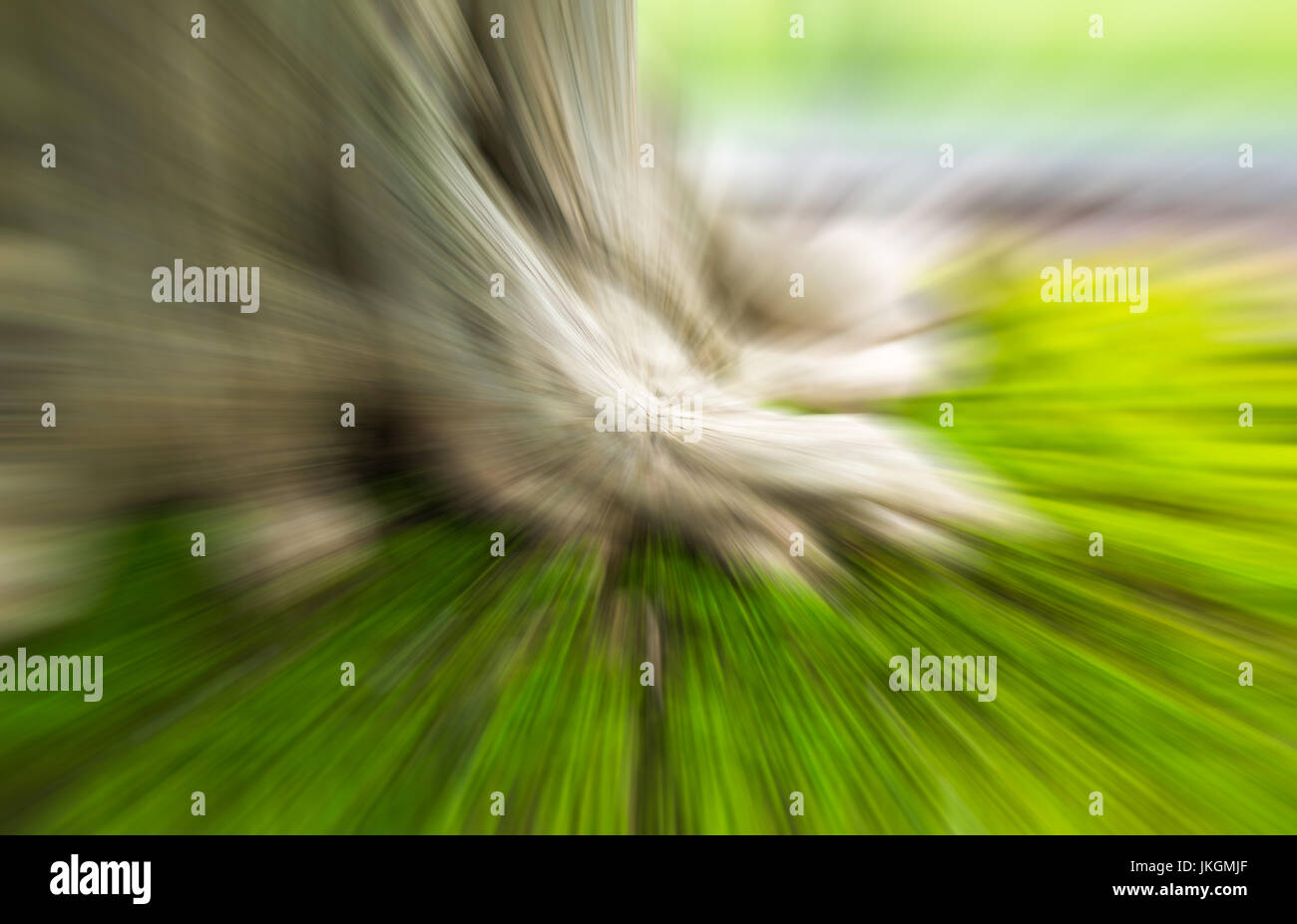Sfocatura radiale della struttura di radice e moss, concetto salvare la natura con filtro effact Foto Stock