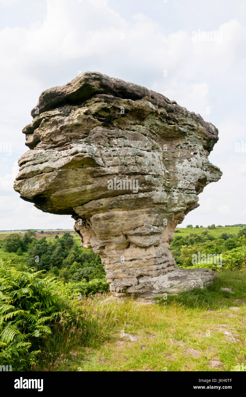 Il Pepperpot, uno della Bassa Bridestones sulla North York Moors è formata da eroso Jurassic roccia sedimentaria depositati circa 150 milioni di anni fa Foto Stock