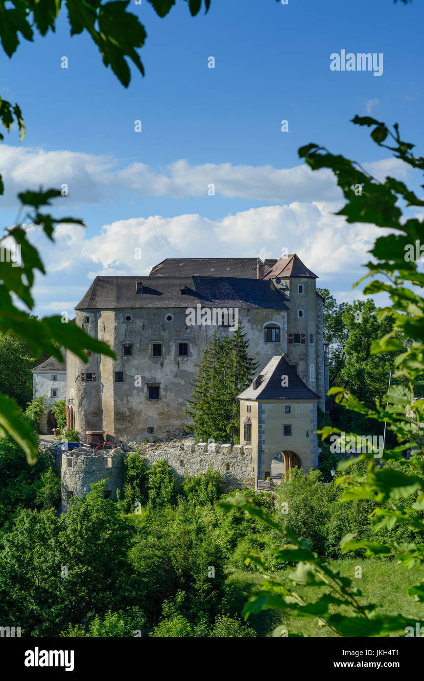 Il castello di Plankenstein, Texingtal, Mostviertel, Niederösterreich, Austria Inferiore, Austria Foto Stock