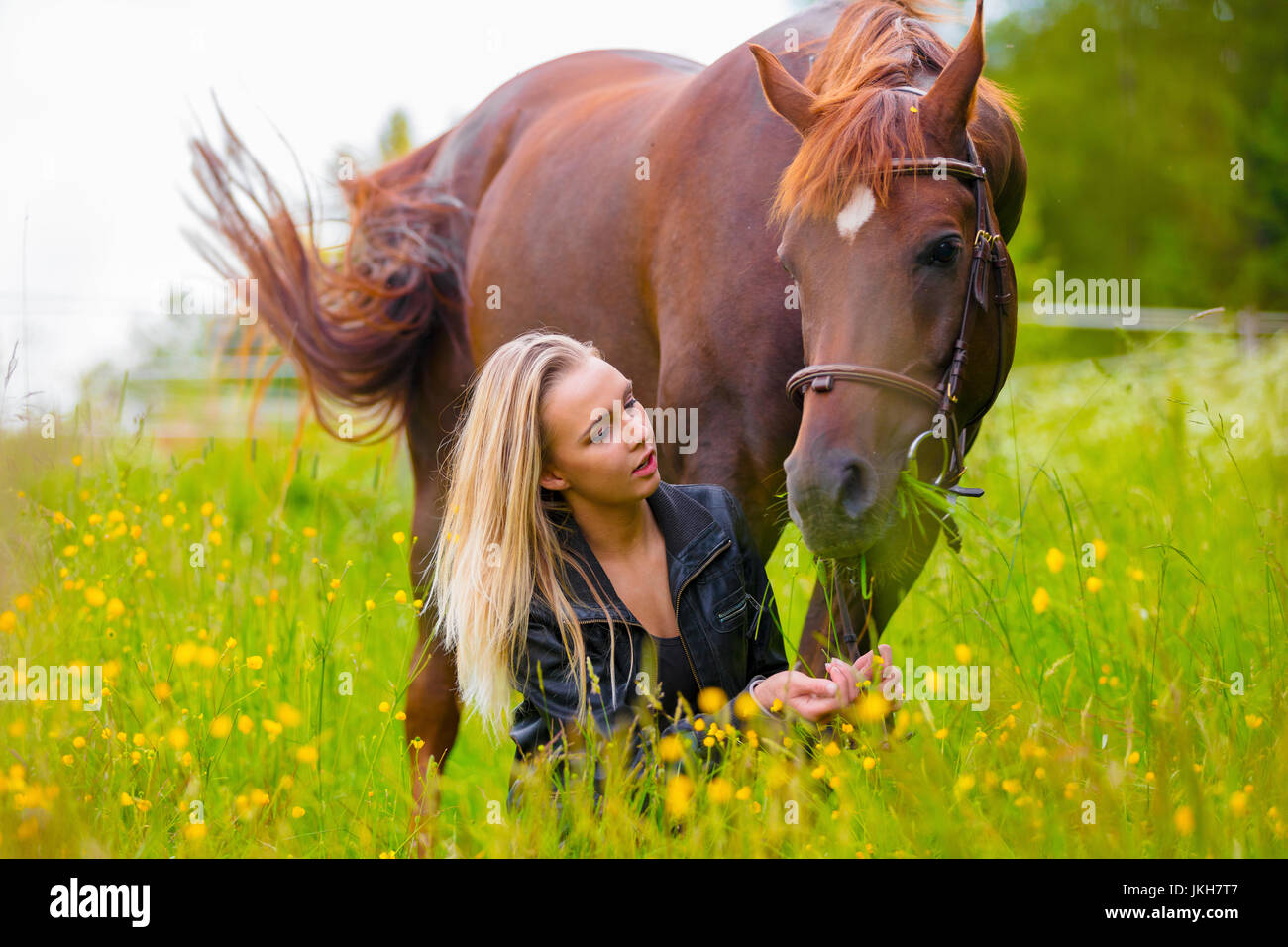 Bella donna alimentando il suo cavallo arabo con spuntini nel campo Foto Stock