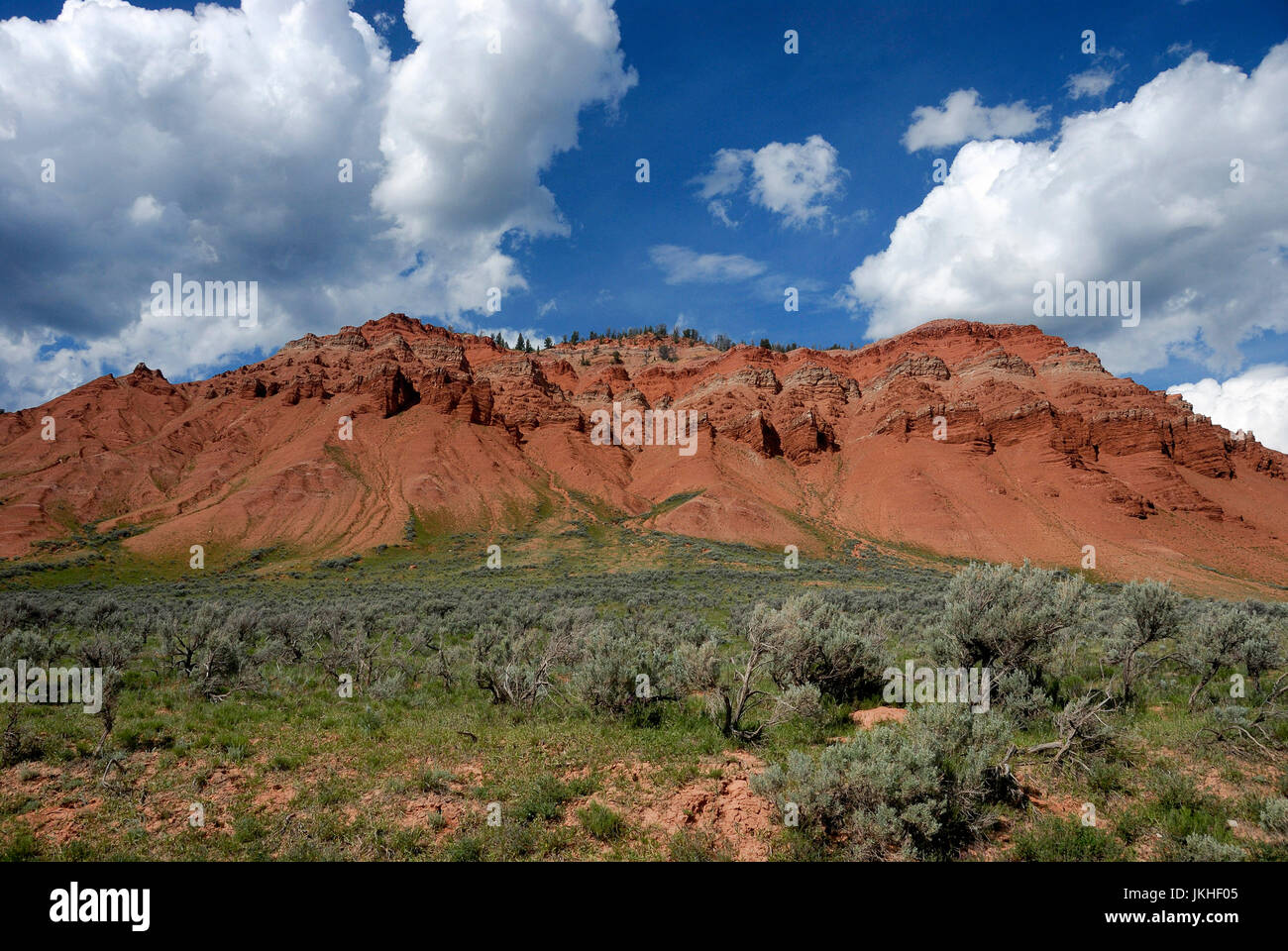 Le colline rosse, Gros Venture deserto Bridger-Teton National Forest, Wyoming USA Foto Stock