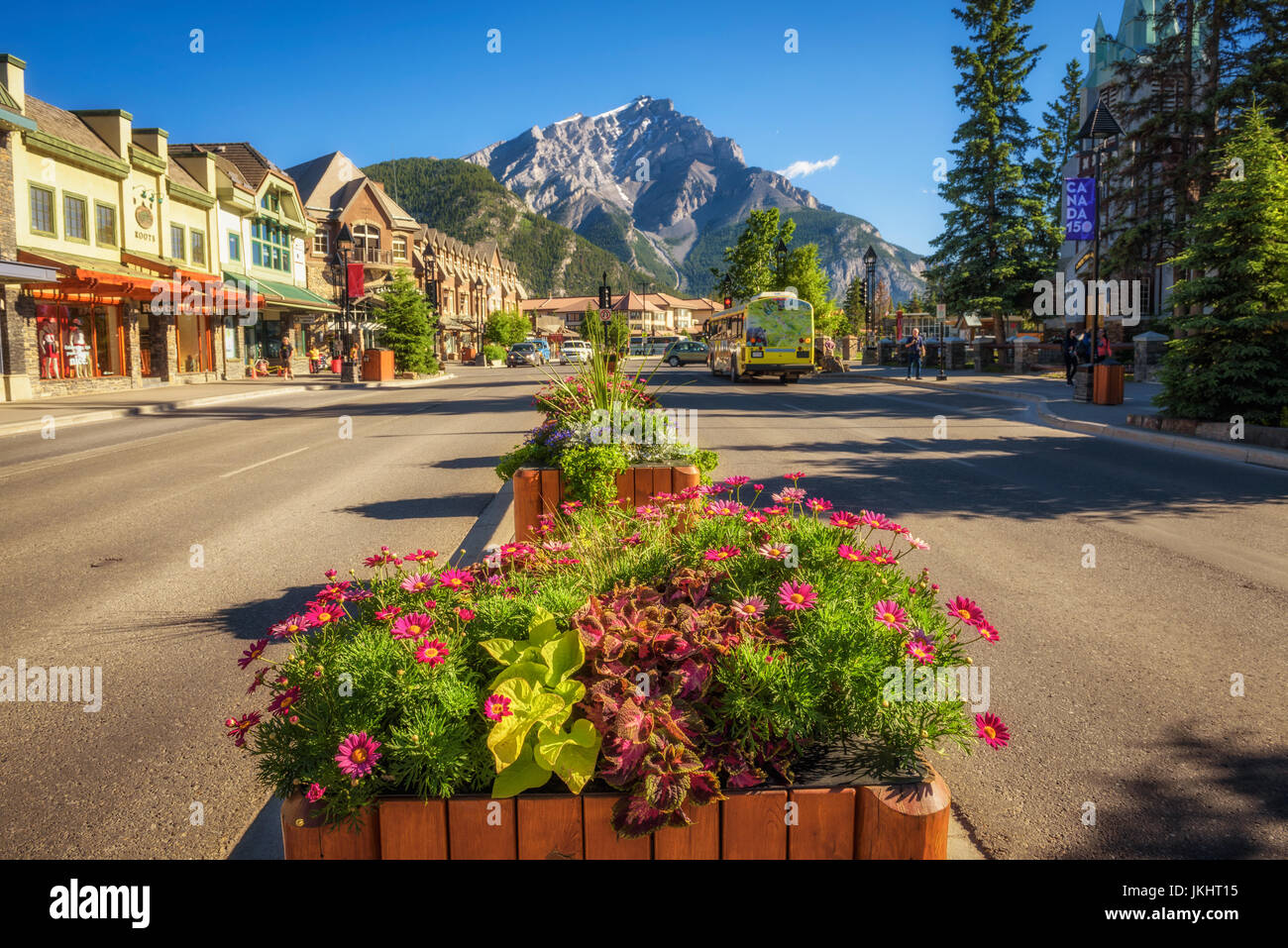 BANFF, Alberta, Canada - 27 Giugno 2017 : bellissimi fiori sul famoso Banff Avenue in una soleggiata giornata estiva. Banff è una località di villeggiatura e turiste popolari Foto Stock