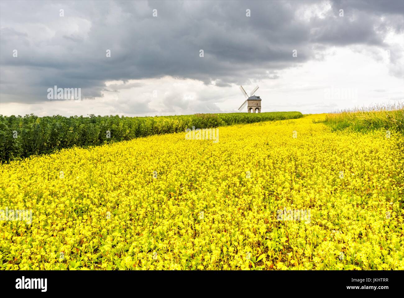 Chesterton Windmill Foto Stock