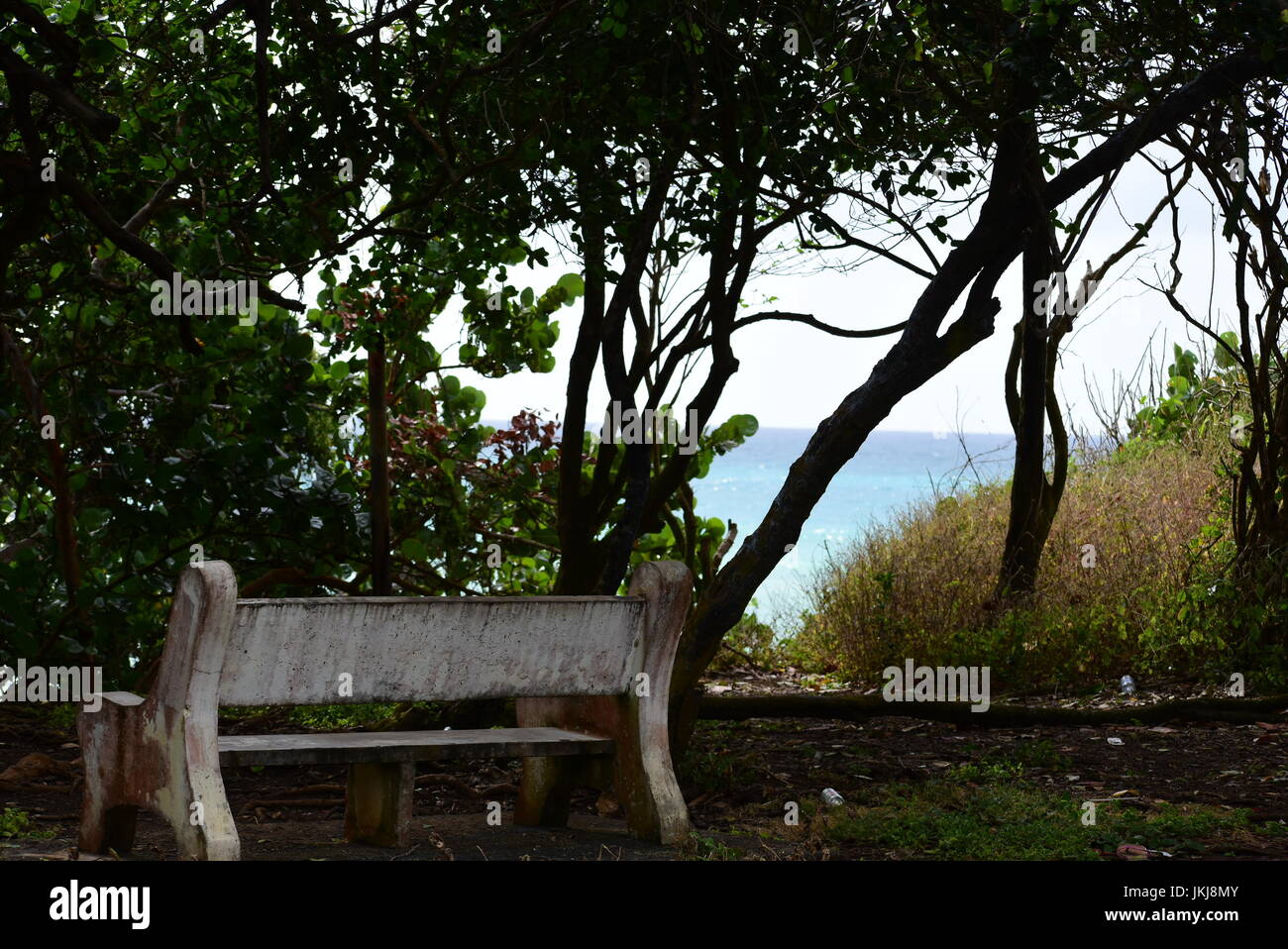 Fotografie di sorprendenti scene tratte a Tobago dotate di un bagno di sole ninfee in uno stagno, banco vuoto con una vista del mare e dell'oceano con onde Foto Stock